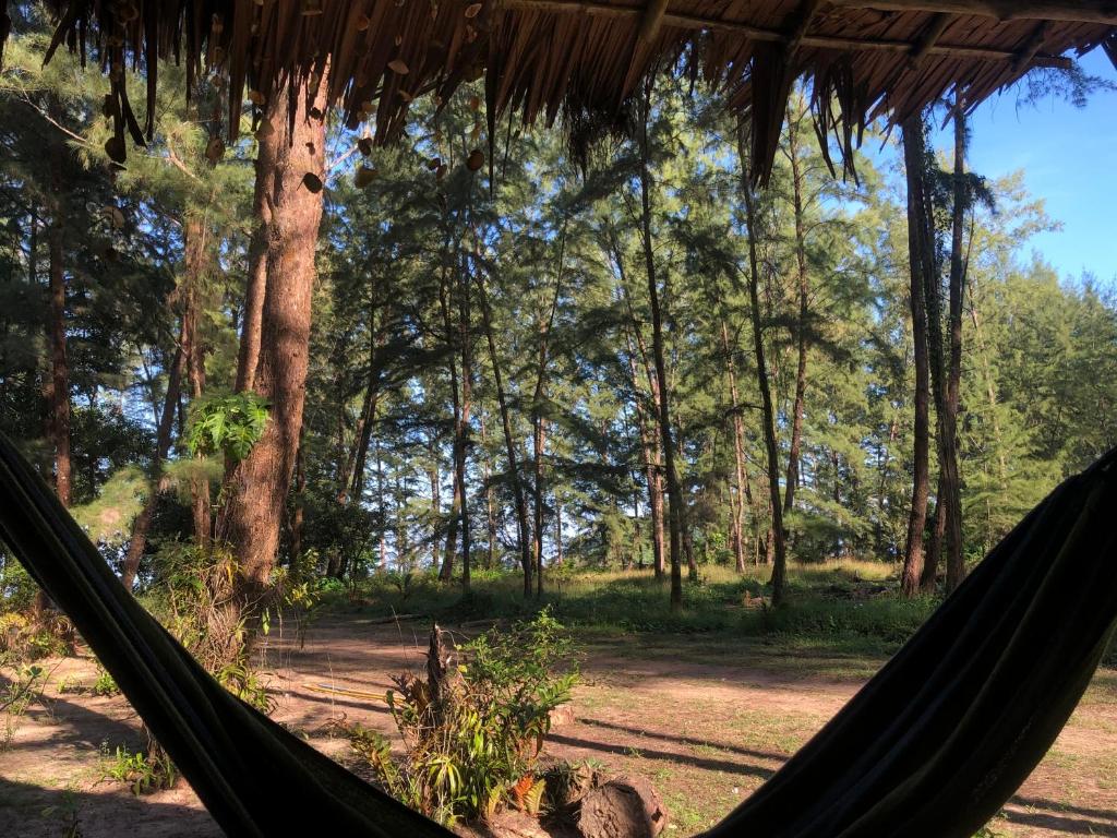 Surrounding environment