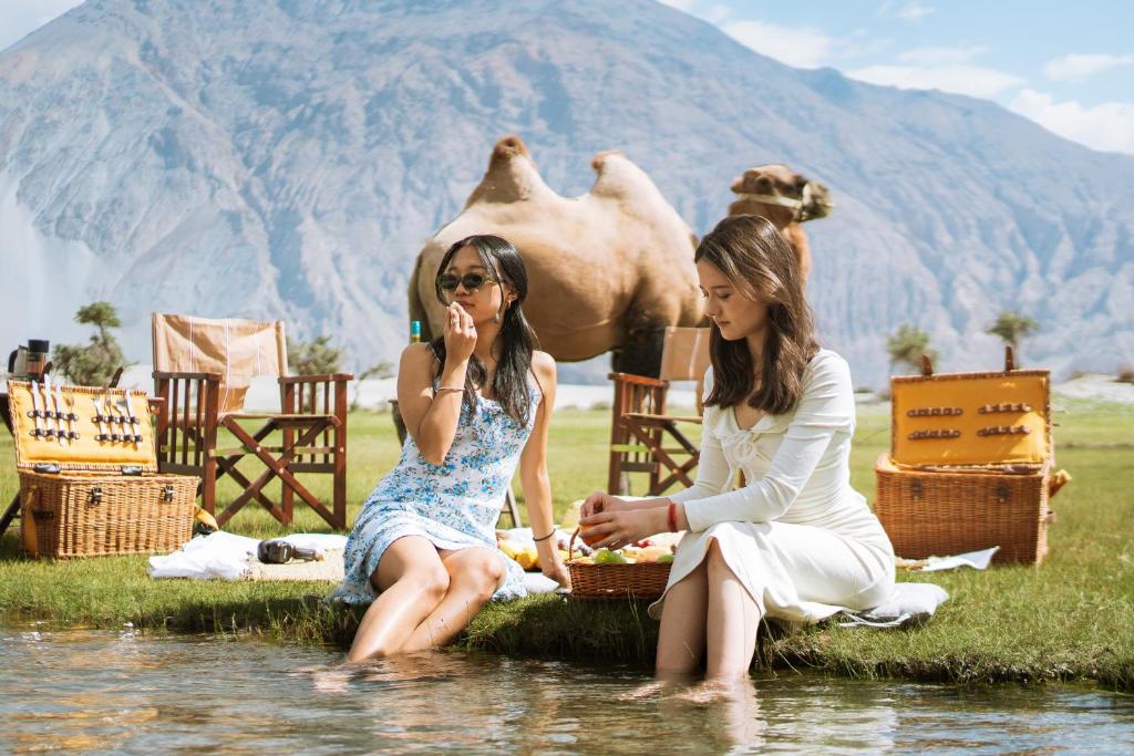 アクティビティ