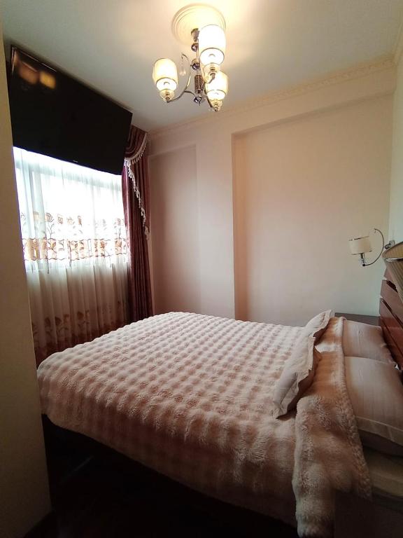 Hostal Terrabella SRL - 3