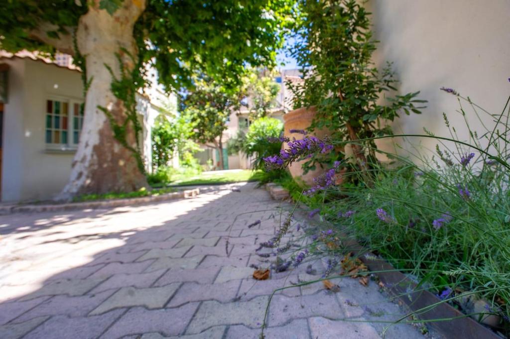 Oasis secrète Avignon 6 personnes - 3