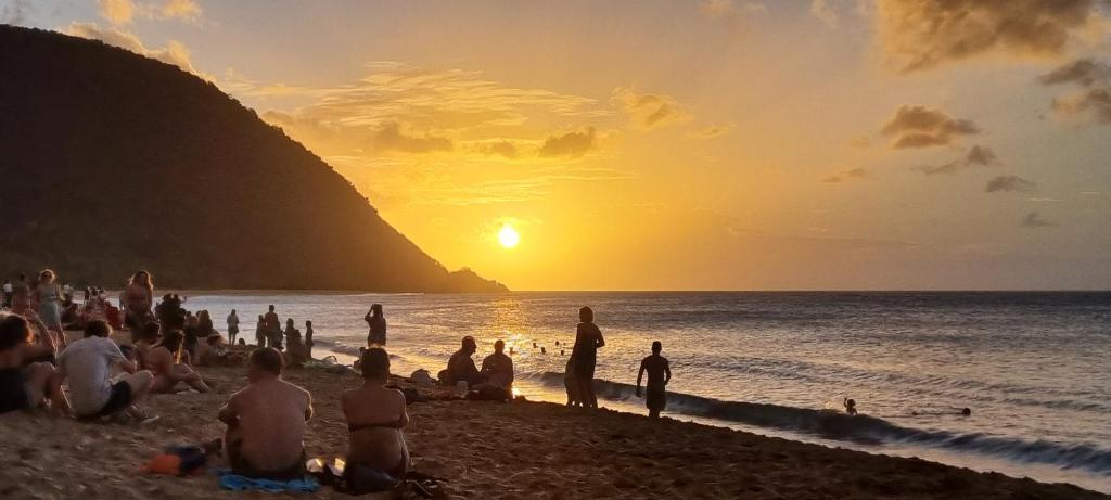 L'Althéa Bleu, Sainte-Rose