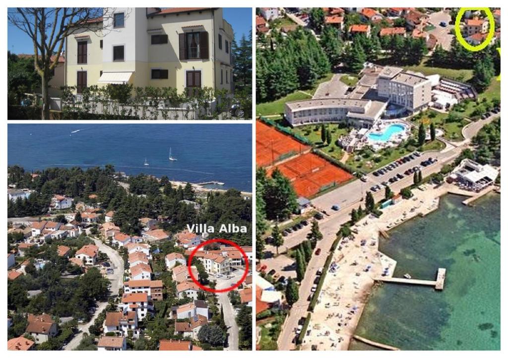 Apartments Villa Alba photo
