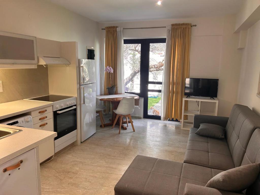 Elias Nest, Galatás