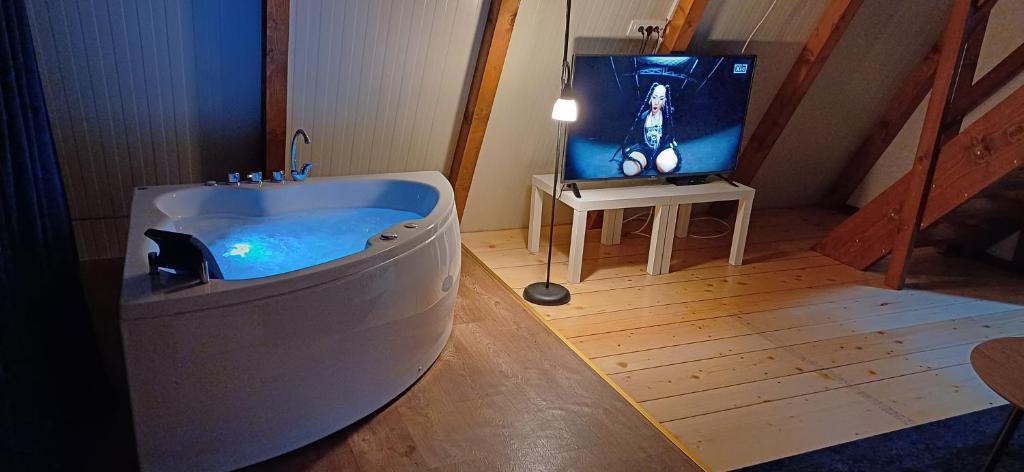 Vip Villa Jagodina - Jakuzzi is free - Private parking is free - Beautiful view of nature - 4