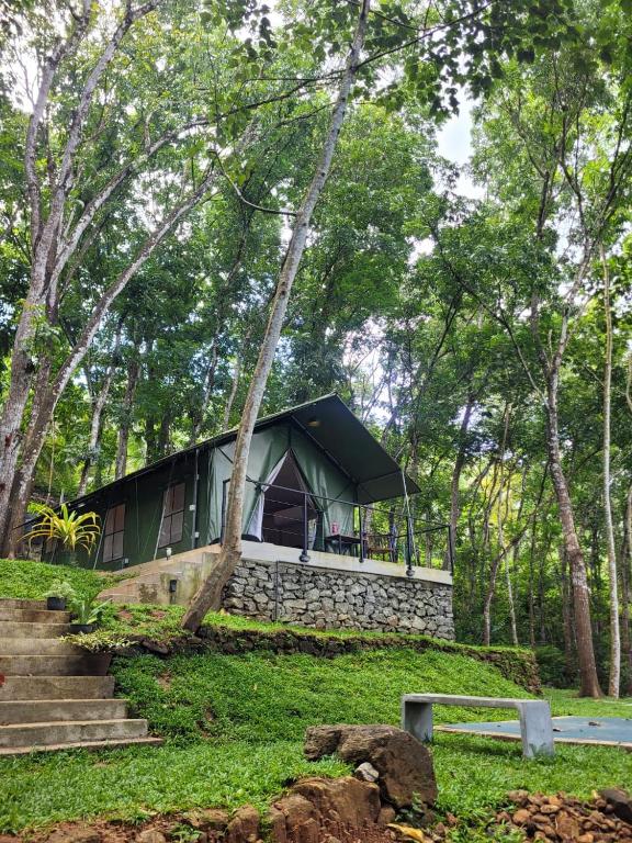 Trickling Stream Campsite, Alawala