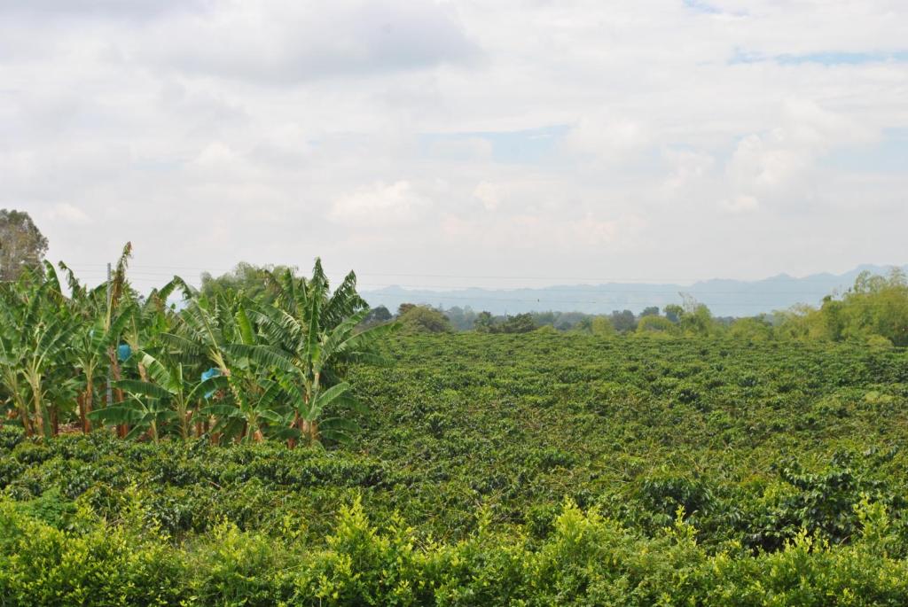 Surrounding environment