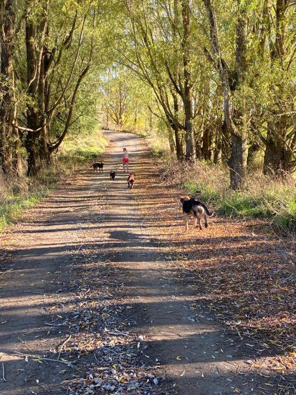 Tomogalak Lodge, Lumsden