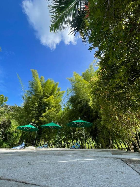 Apit Lawang EcoLodge