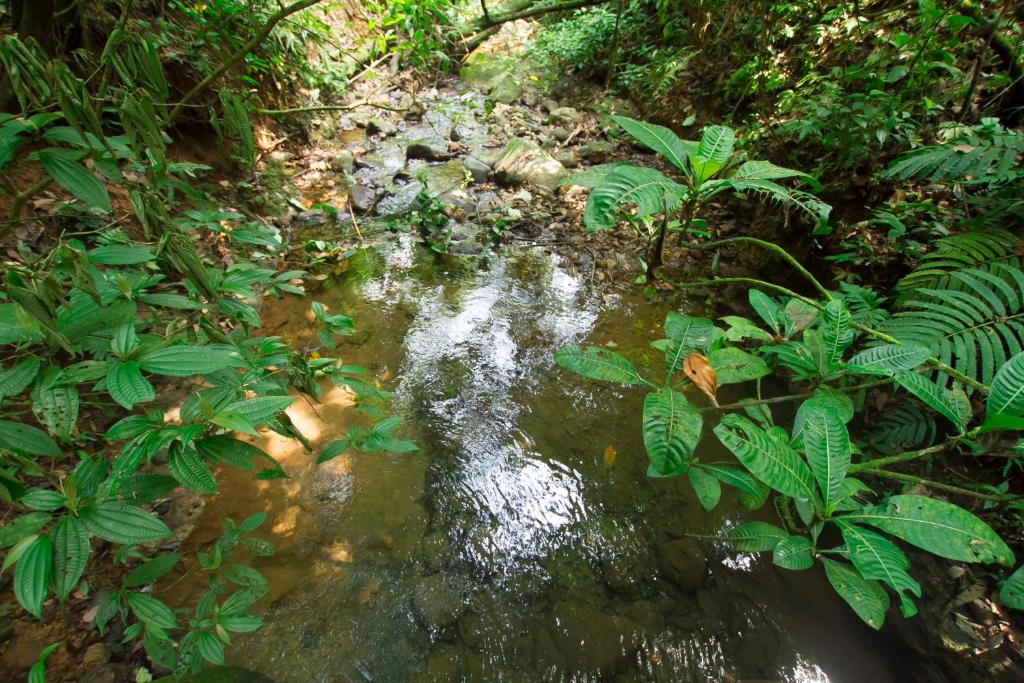 Surrounding environment