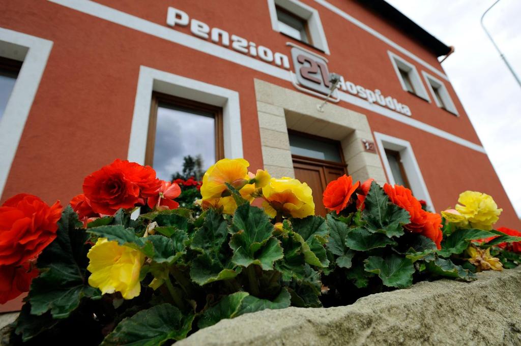 Penzion 21, Růžová