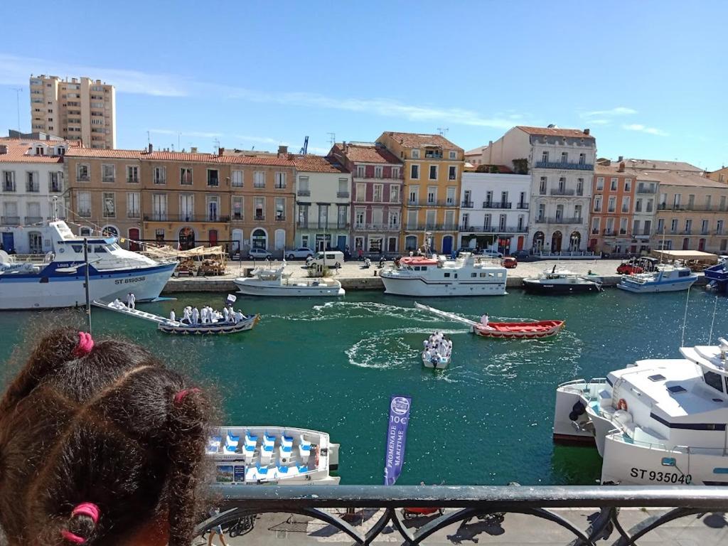 vue exceptionnelle sur les canaux, Sète