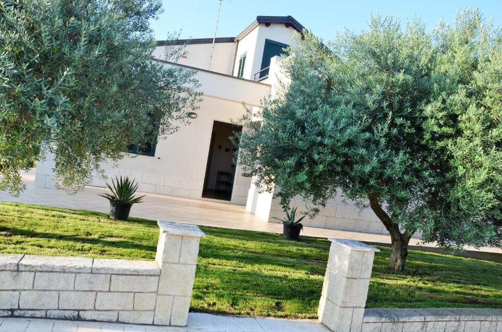 Villa tra gli ulivi - 1