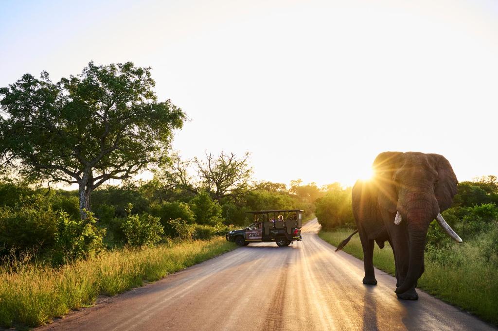 กิจกรรม