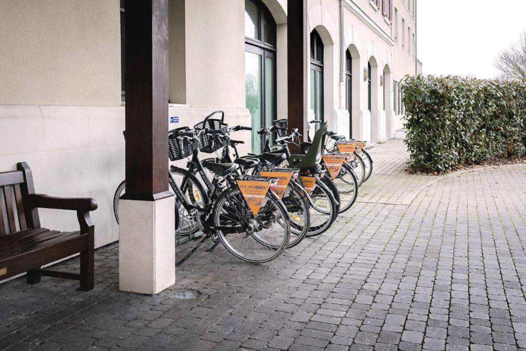 Sports and activities