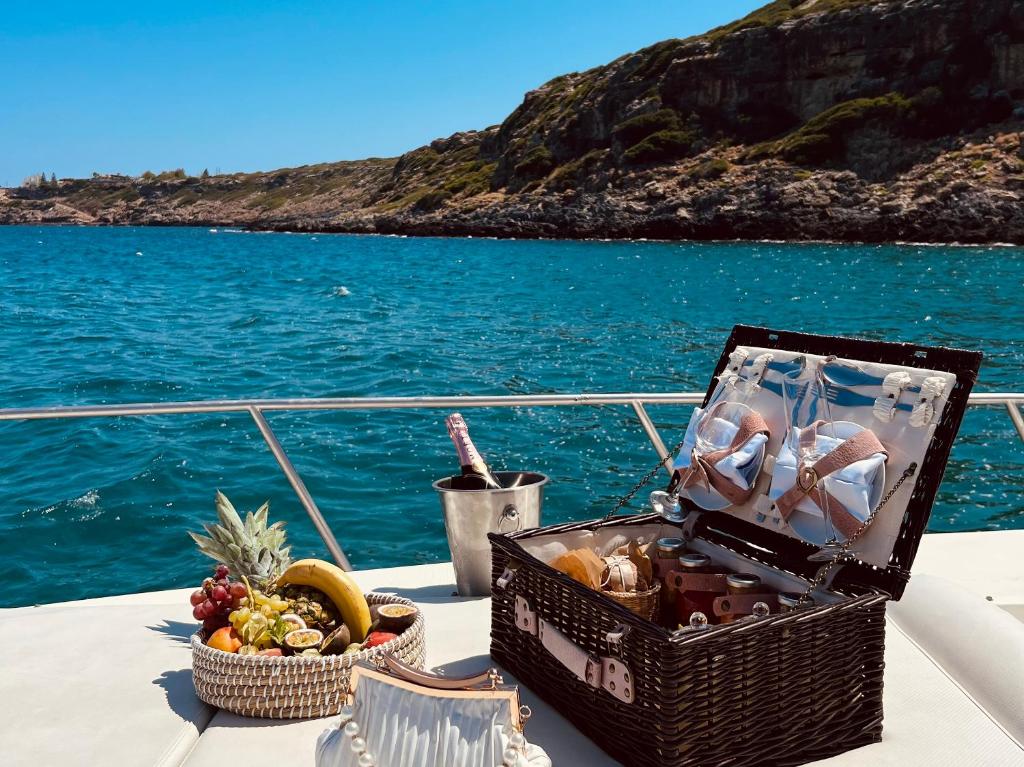 アクティビティ