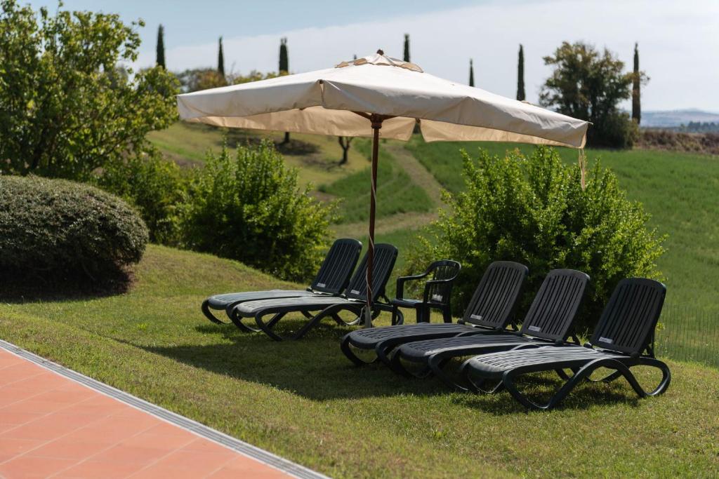 Green Hill Apartment In Tuscan Countryside - 5