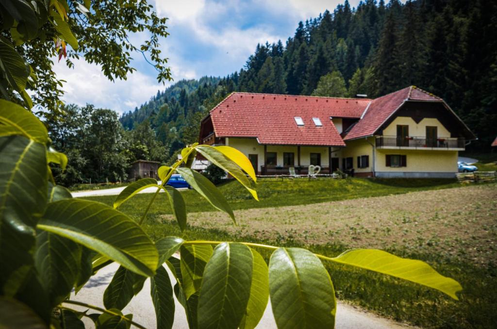 Farm Stay Loger 전경