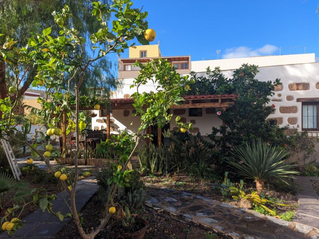 Casa Roberta - 2