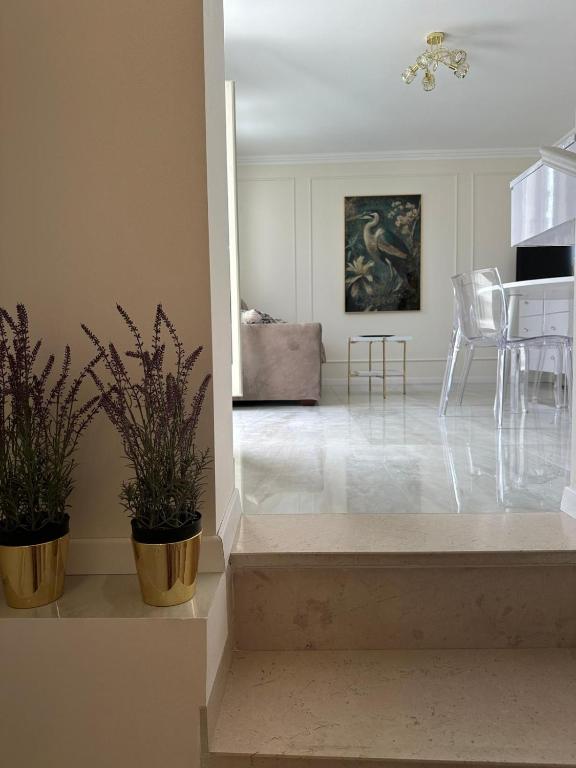 APARTAMENT MARIA - Julia Vieste - 2
