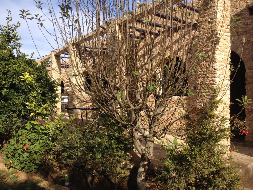 Ryad de Vignes " Le Val d'Argan " photo