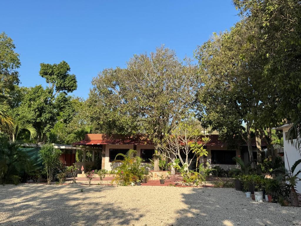 Casa Tatich Bacalar - 3