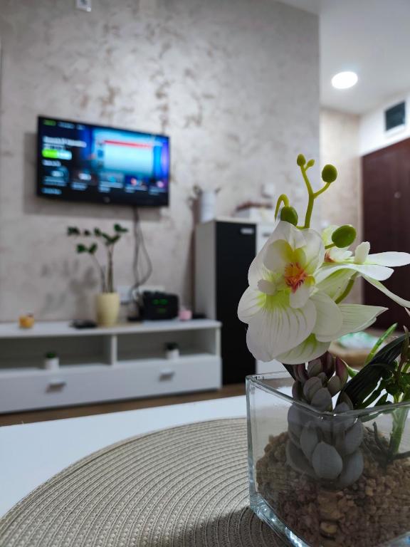 Apartman Tara 2, Sremska Mitrovica