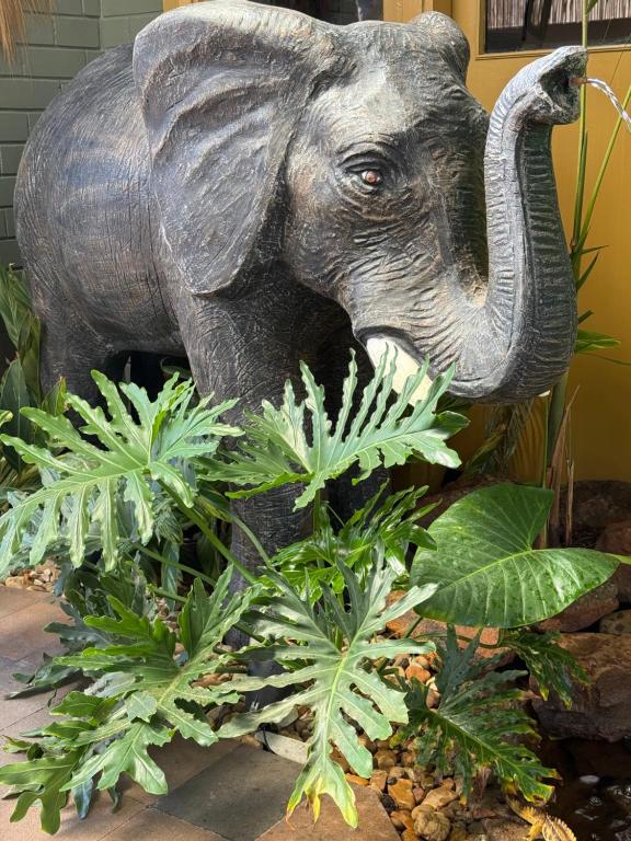 Amani Lodging, Dubbo