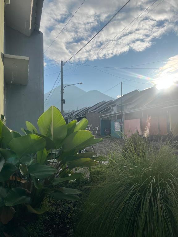 SleepOver BDI2, Wonosobo