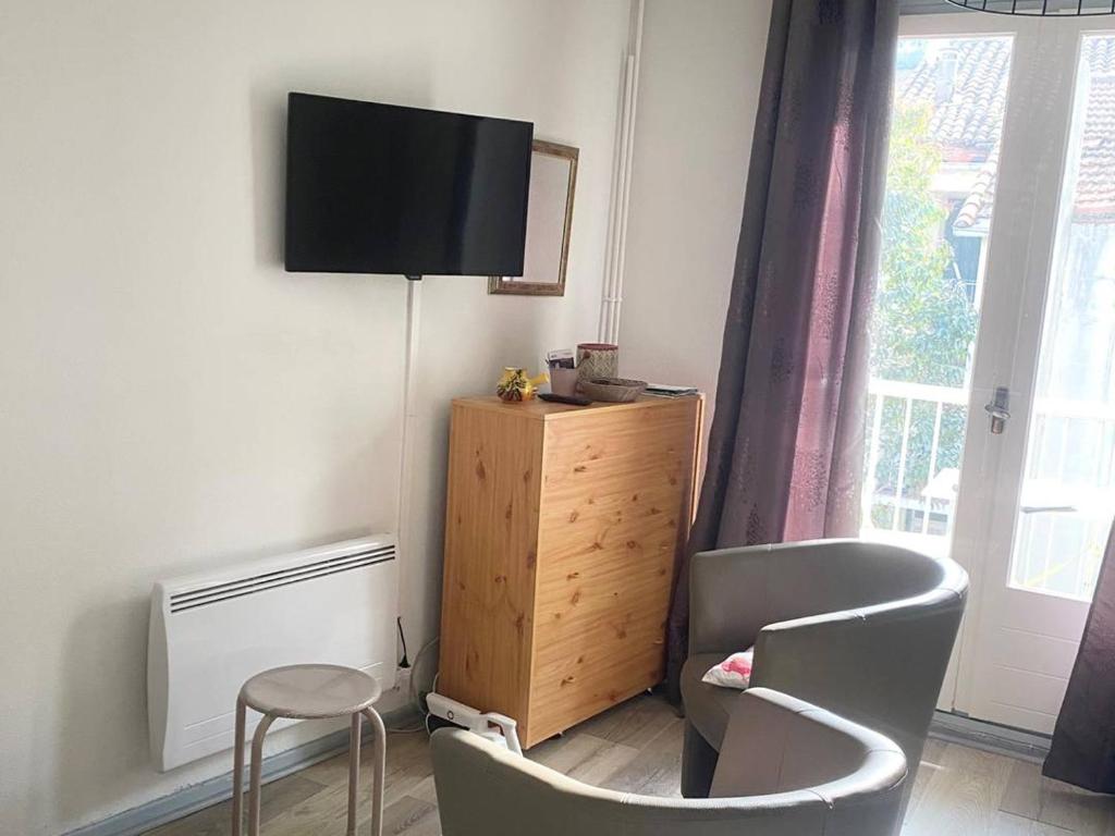 Studio ensoleillé en centre-ville, animaux admis - 5