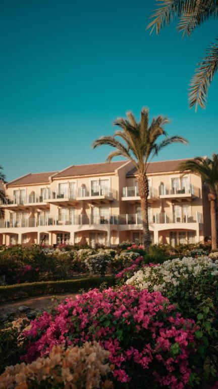 المنظر الخارجي