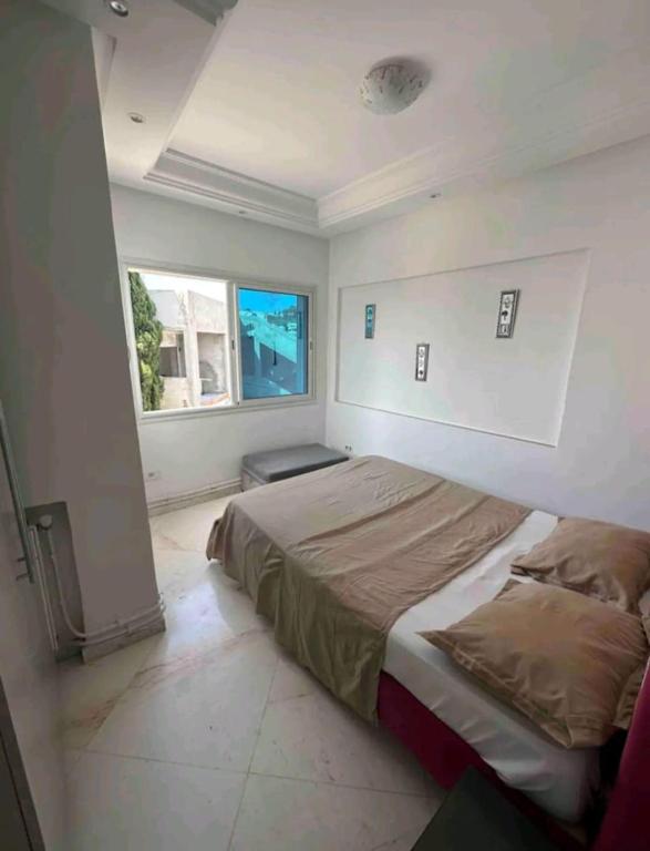 Sidibou Said Vibes, Sidi Bou Saïd