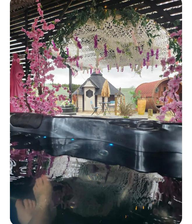 Adult only , meadow escape, Coagh