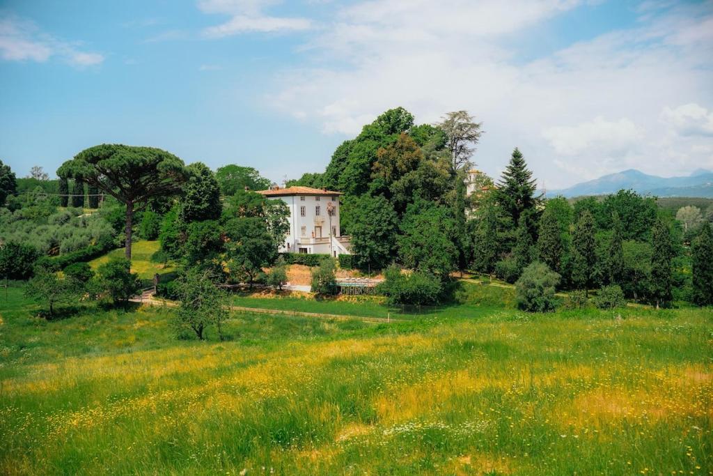 Villa Bianca charming Tuscany house with pool - 4