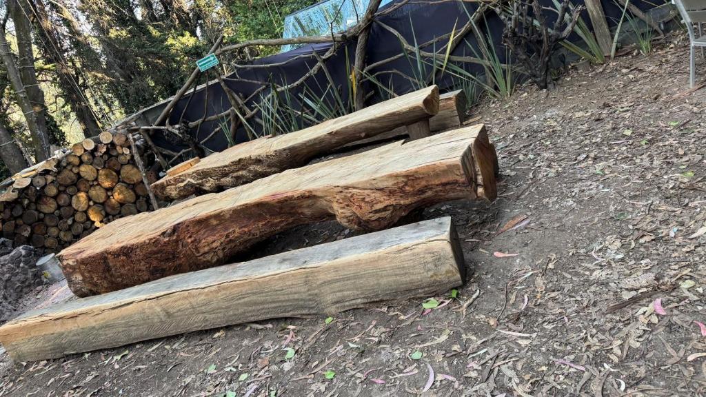 Mindfulness Glamping, Retiro de Yoga, Todo Incluido - 4