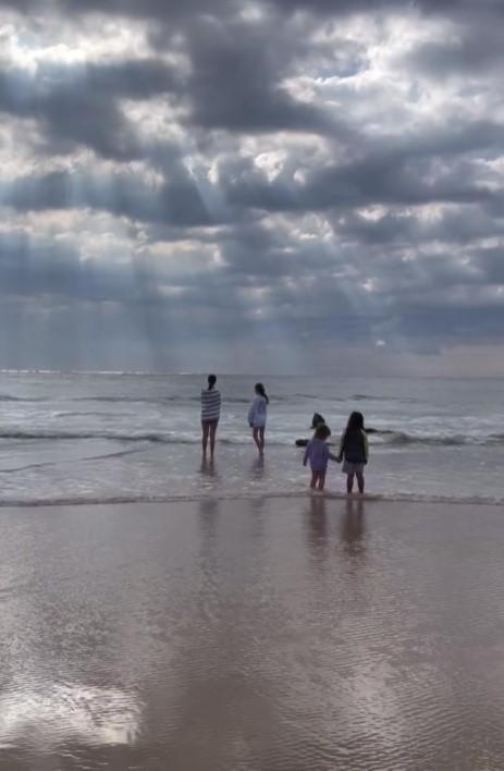 Magenta Palms, Magenta