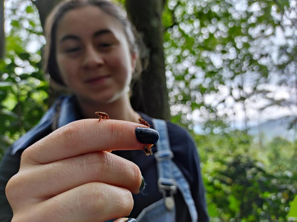AYNI- Santuario de abejas - 2