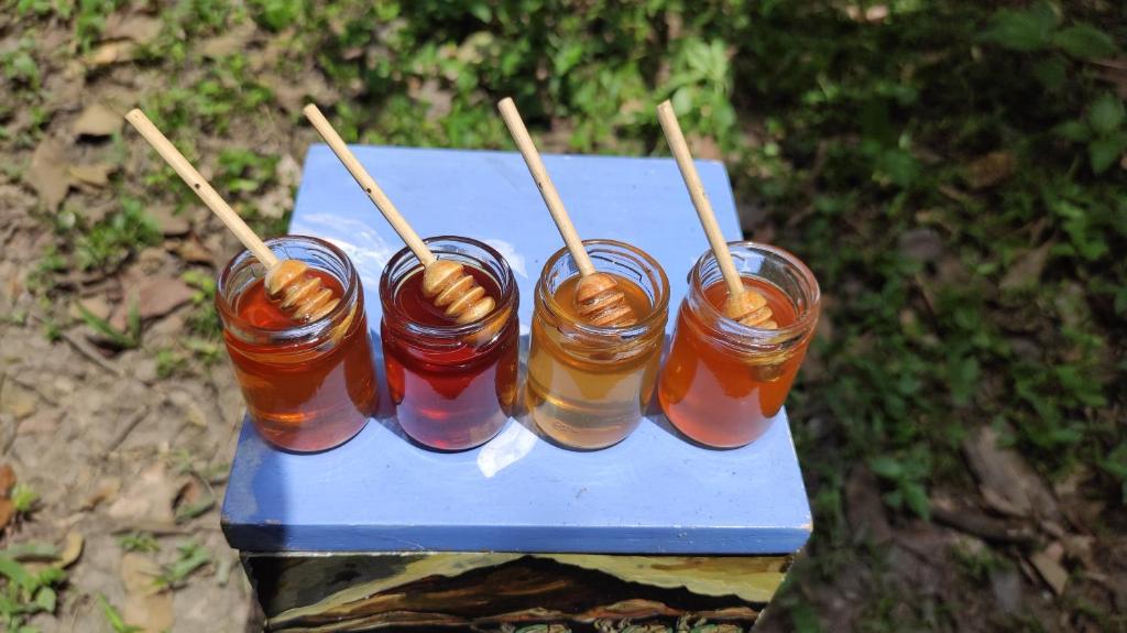 AYNI- Santuario de abejas - 5