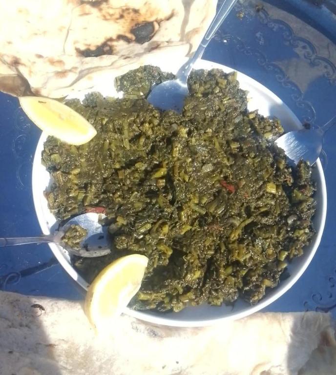 Noplity bed and breakfast, Al Qunayţirah