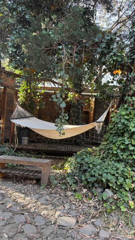 Mindfulness Glamping, Retiro de Yoga, Todo Incluido, Mexiko