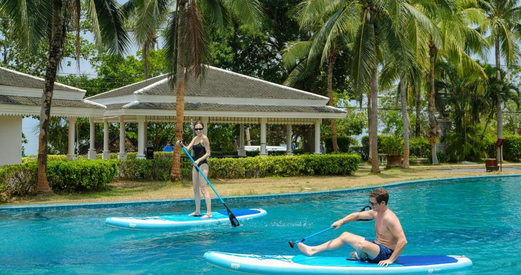 Programlehetőségek