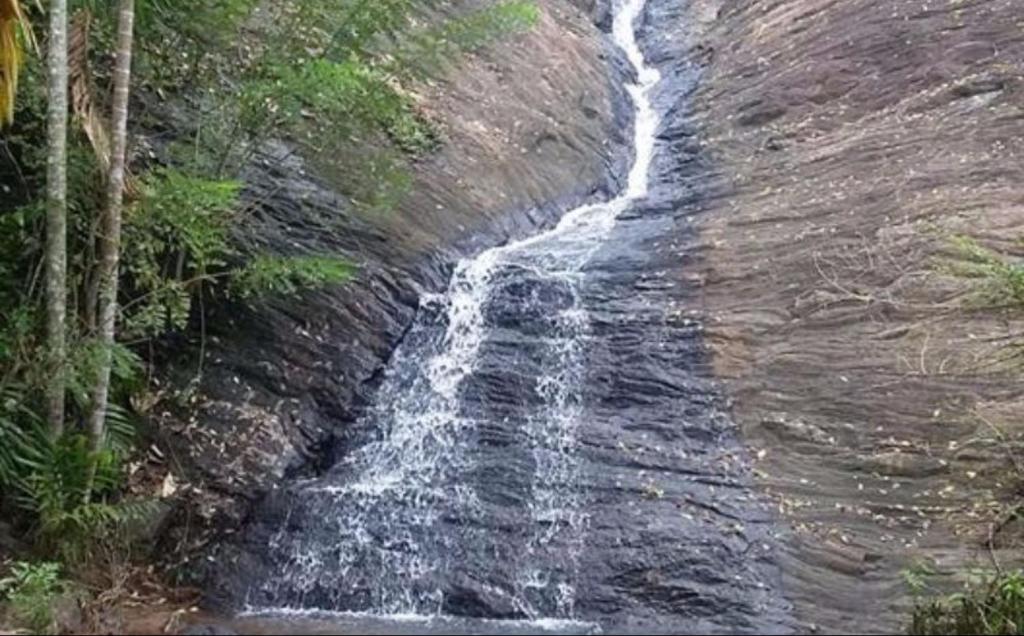 Surrounding environment