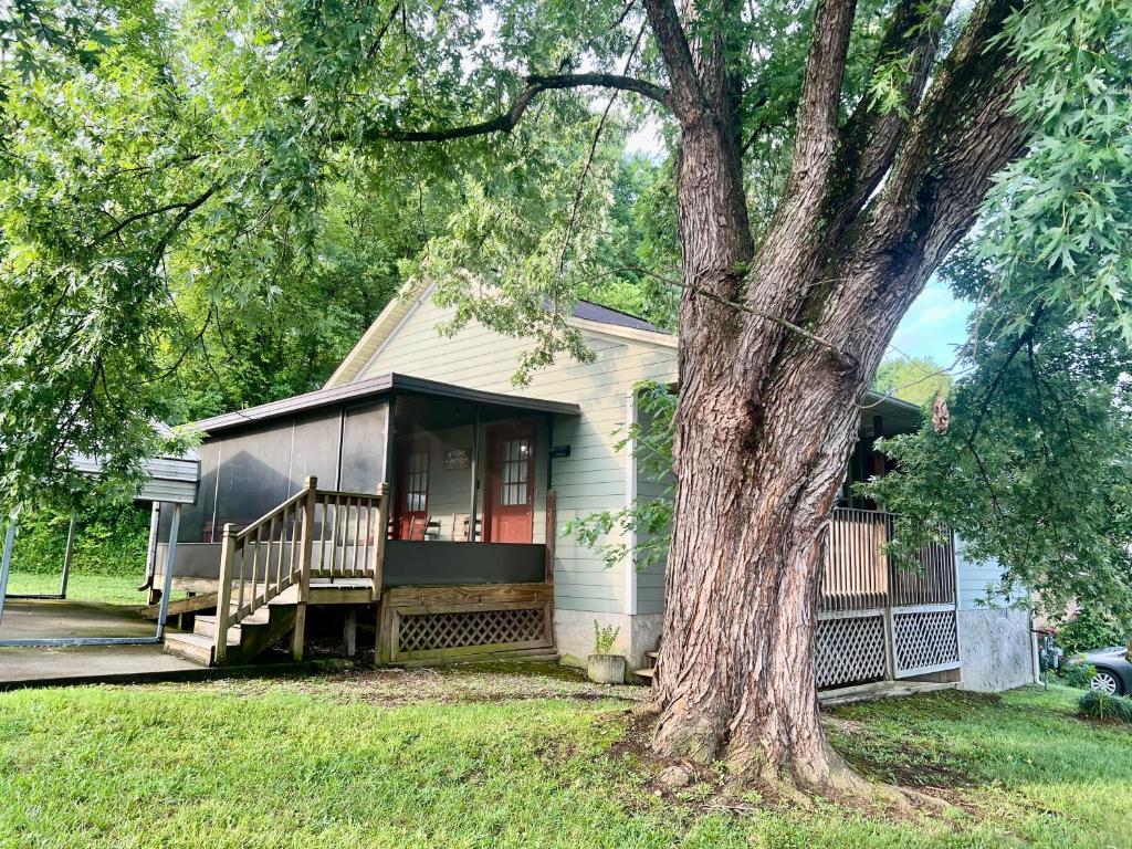 Steps away from PF parkway, pet friendly, hot tub!, Pigeon Forge