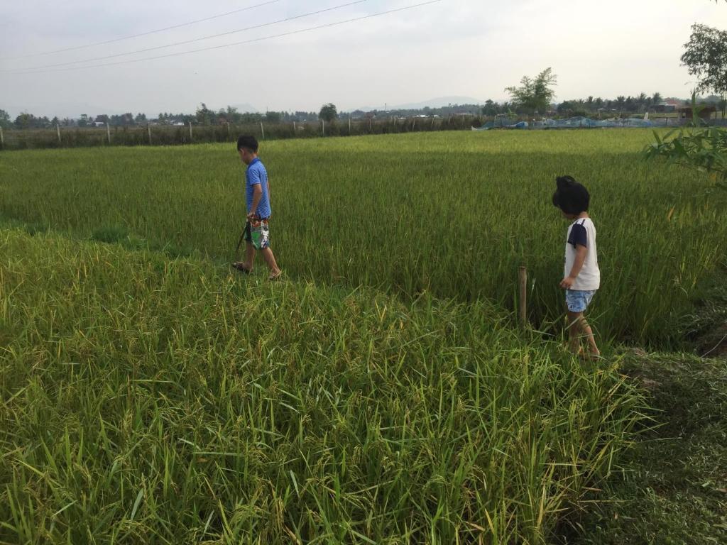 Vilakon Thoungchaleun, Ban Phôn Ngam