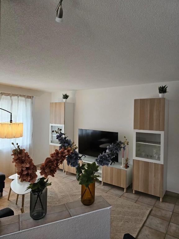 Tegerfelden Weinregion, Tegerfelden