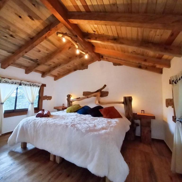 Cedro L, Mineral del Chico