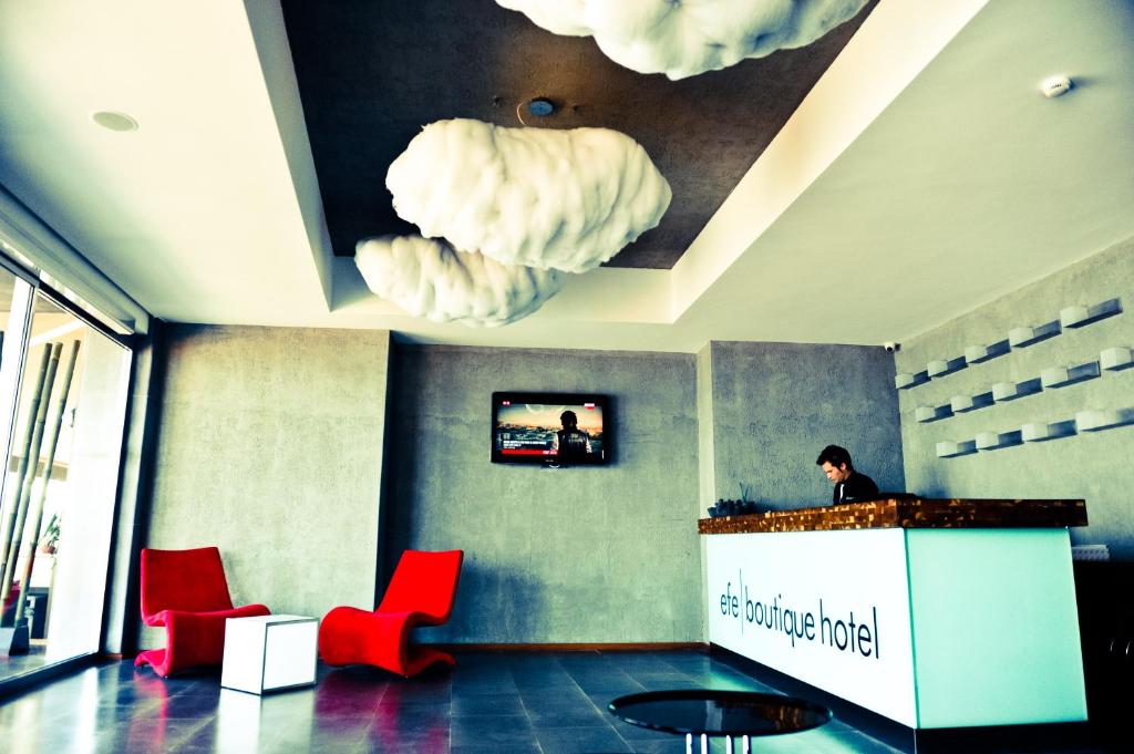 Efe Hotel photo