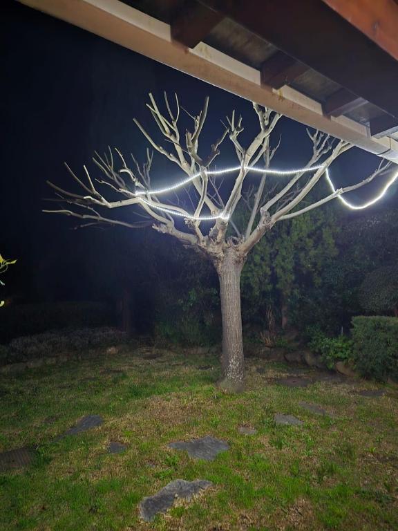 Le Jardin Provençal - 4