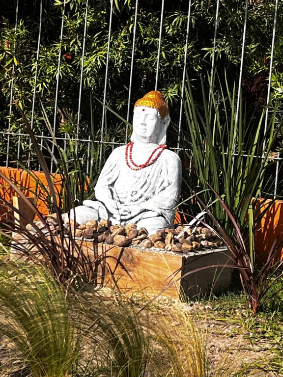 PAZ Y ARMONÍA en chuy 2 - 4