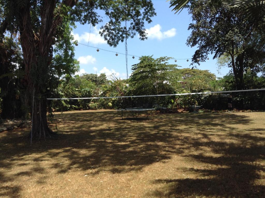 Sports and activities