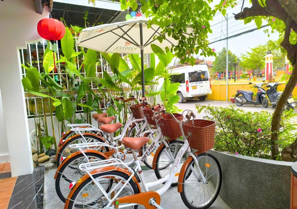 Sports and activities